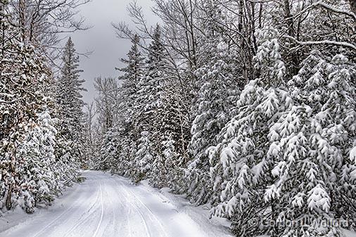 Marlborough Forest Snowscape_33226.jpg - Photographed near Burritts Rapids, Ontario, Canada.
